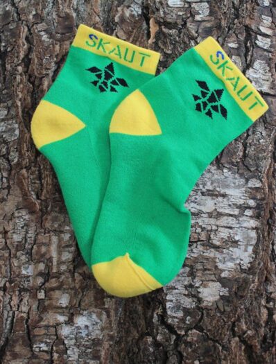 66671275_2786983447997005_8684272084072792064_o-4